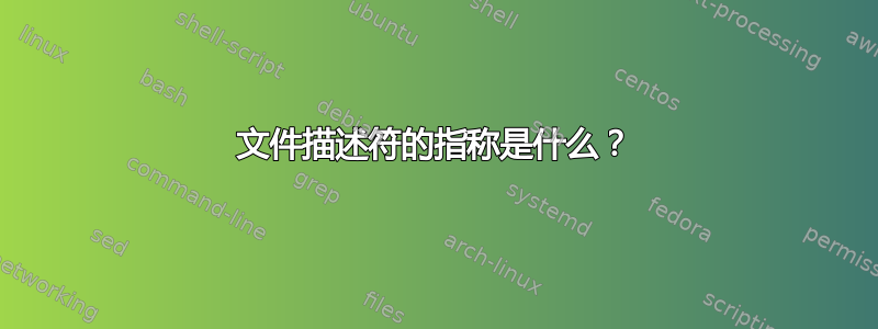 文件描述符的指称是什么？