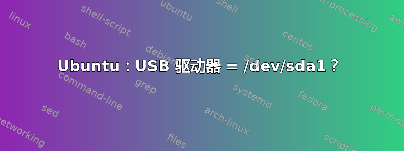 Ubuntu：USB 驱动器 = /dev/sda1？