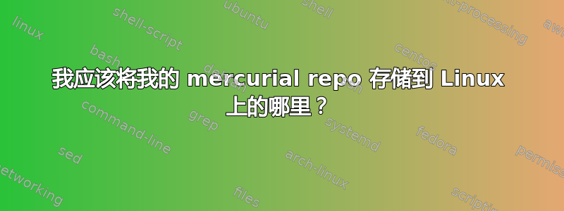 我应该将我的 mercurial repo 存储到 Linux 上的哪里？