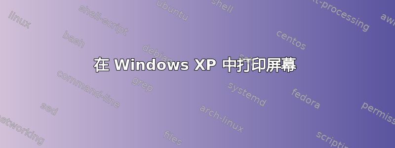 在 Windows XP 中打印屏幕