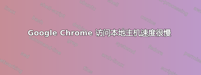 Google Chrome 访问本地主机速度很慢