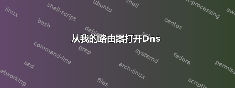 从我的路由器打开Dns