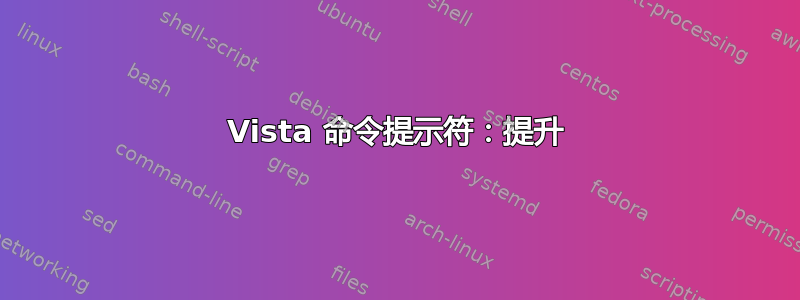 Vista 命令提示符：提升