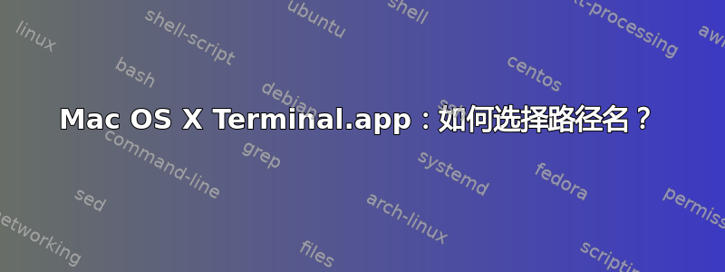 Mac OS X Terminal.app：如何选择路径名？