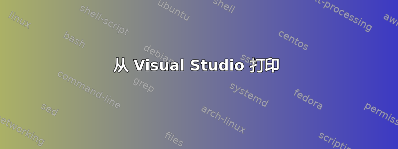 从 Visual Studio 打印