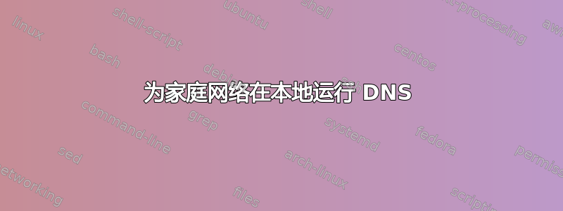 为家庭网络在本地运行 DNS