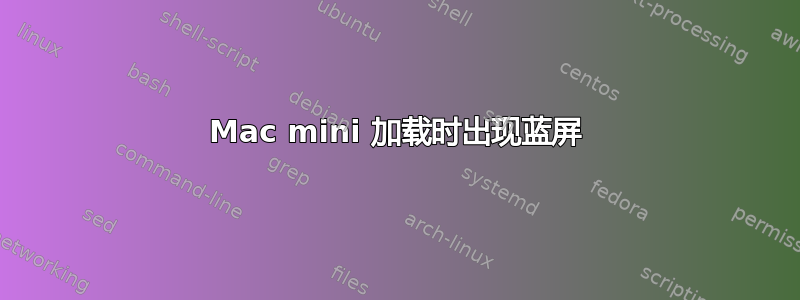 Mac mini 加载时出现蓝屏