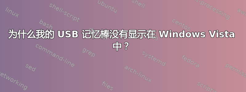 为什么我的 USB 记忆棒没有显示在 Windows Vista 中？