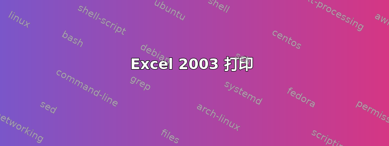 Excel 2003 打印