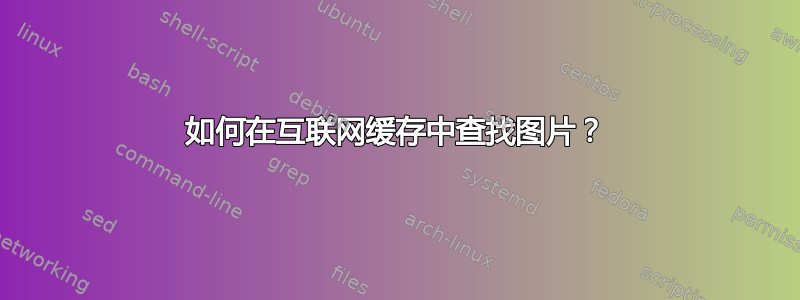 如何在互联网缓存中查找图片？