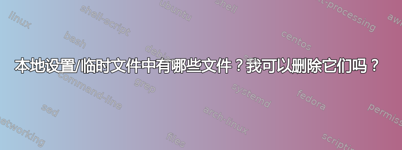 本地设置/临时文件中有哪些文件？我可以删除它们吗？