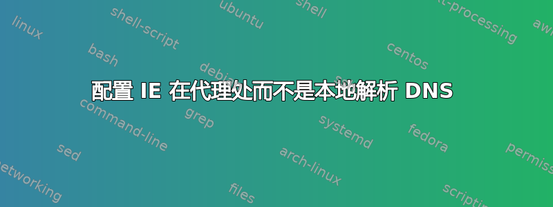 配置 IE 在代理处而不是本地解析 DNS