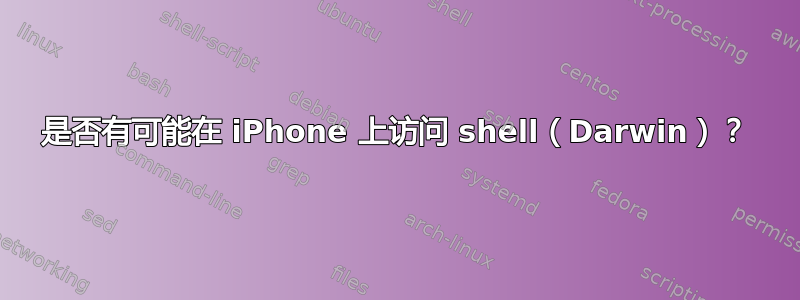 是否有可能在 iPhone 上访问 shell（Darwin）？