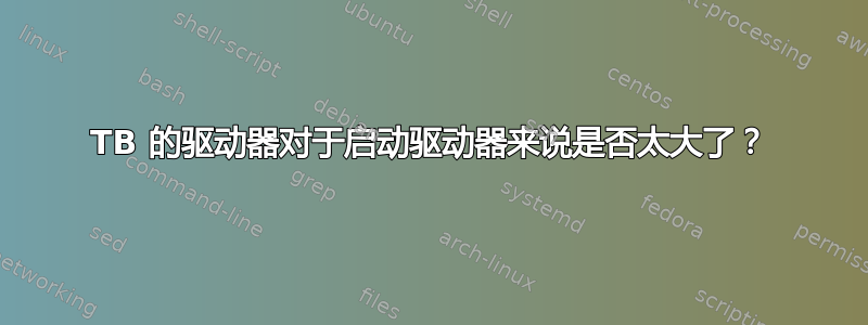 1TB 的驱动器对于启动驱动器来说是否太大了？