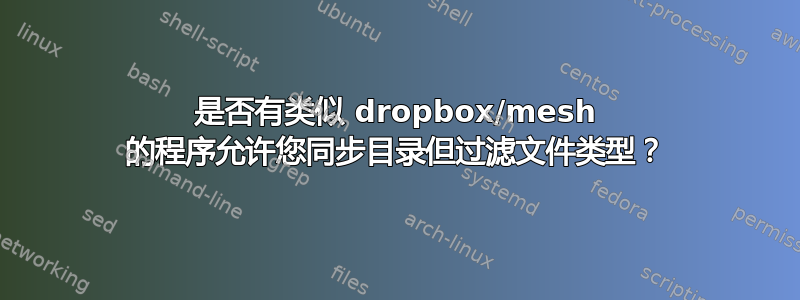 是否有类似 dropbox/mesh 的程序允许您同步目录但过滤文件类型？