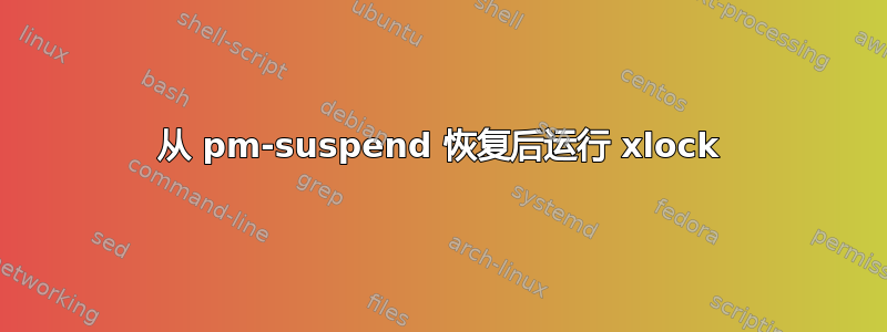 从 pm-suspend 恢复后运行 xlock