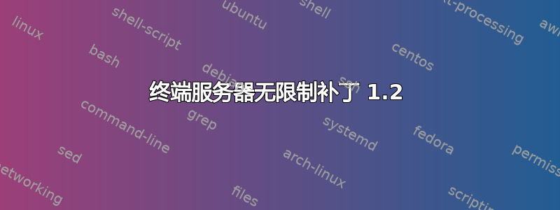 终端服务器无限制补丁 1.2