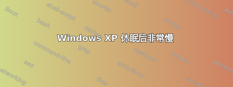 Windows XP 休眠后非常慢