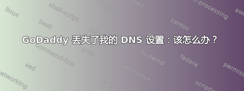 GoDaddy 丢失了我的 DNS 设置：该怎么办？