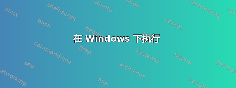 在 Windows 下执行