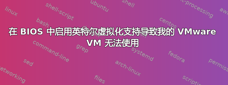 在 BIOS 中启用英特尔虚拟化支持导致我的 VMware VM 无法使用