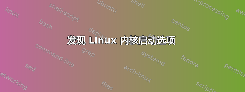 发现 Linux 内核启动选项