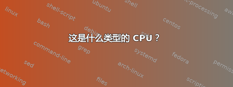 这是什么类型的 CPU？