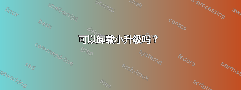 可以卸载小升级吗？