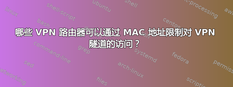 哪些 VPN 路由器可以通过 MAC 地址限制对 VPN 隧道的访问？