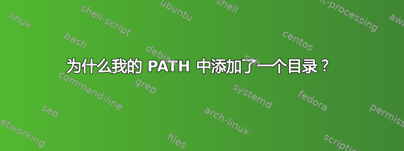 为什么我的 PATH 中添加了一个目录？