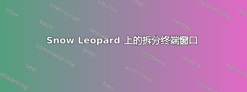 Snow Leopard 上的拆分终端窗口