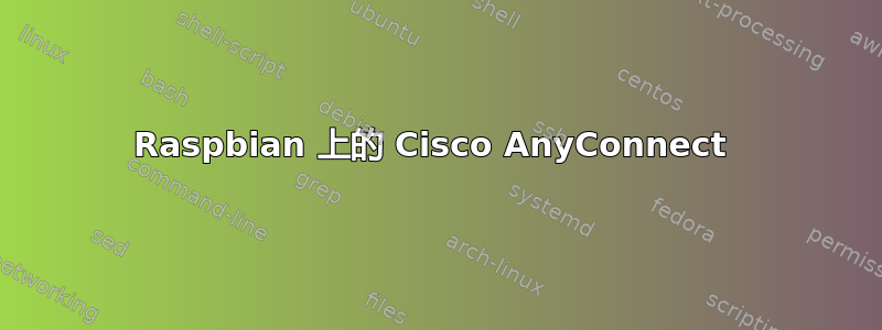 Raspbian 上的 Cisco AnyConnect 