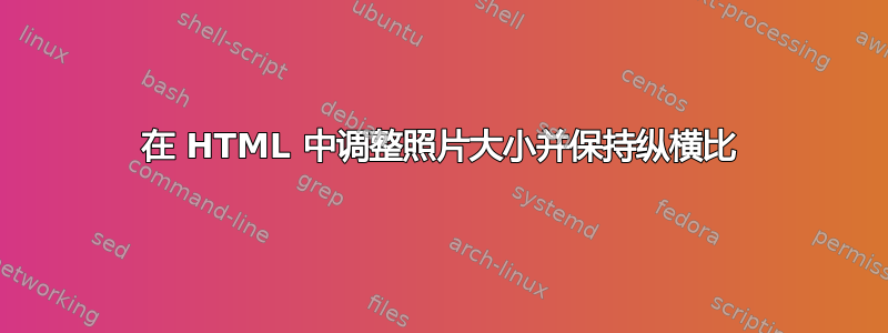 在 HTML 中调整照片大小并保持纵横比