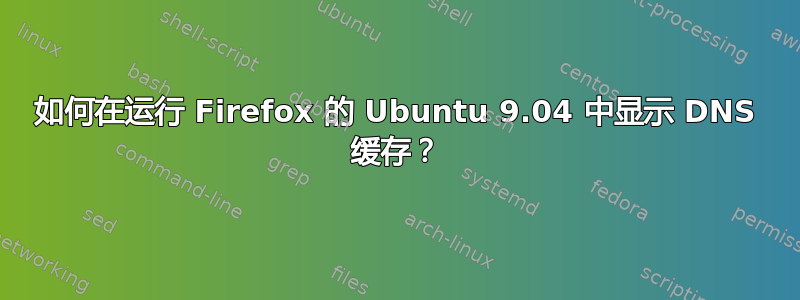 如何在运行 Firefox 的 Ubuntu 9.04 中显示 DNS 缓存？