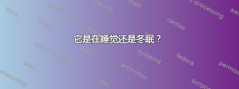 它是在睡觉还是冬眠？