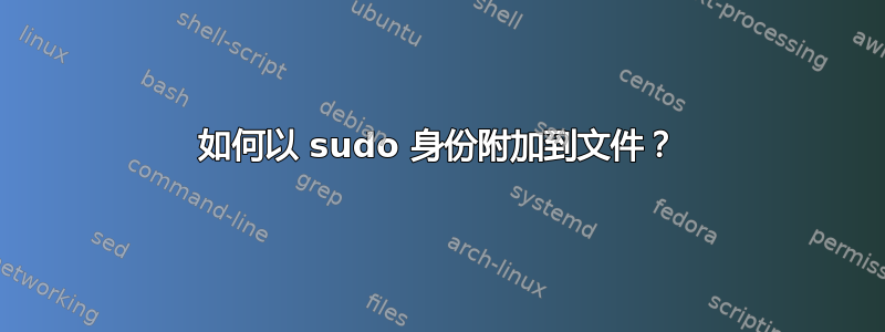 如何以 sudo 身份附加到文件？