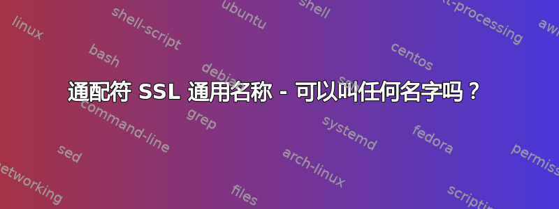 通配符 SSL 通用名称 - 可以叫任何名字吗？