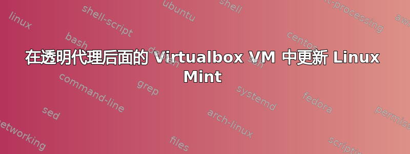 在透明代理后面的 Virtualbox VM 中更新 Linux Mint