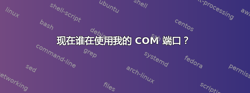 现在谁在使用我的 COM 端口？