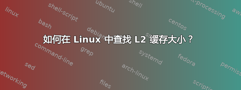 如何在 Linux 中查找 L2 缓存大小？