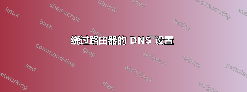 绕过路由器的 DNS 设置