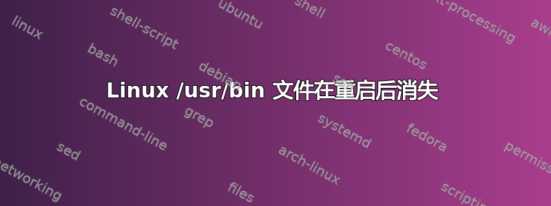 Linux /usr/bin 文件在重启后消失