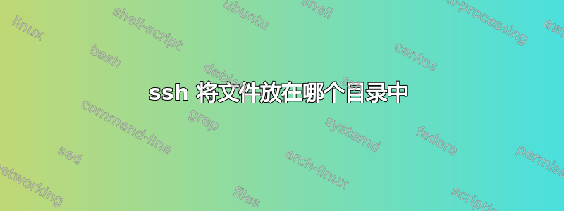 ssh 将文件放在哪个目录中