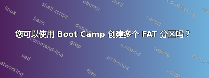 您可以使用 Boot Camp 创建多个 FAT 分区吗？