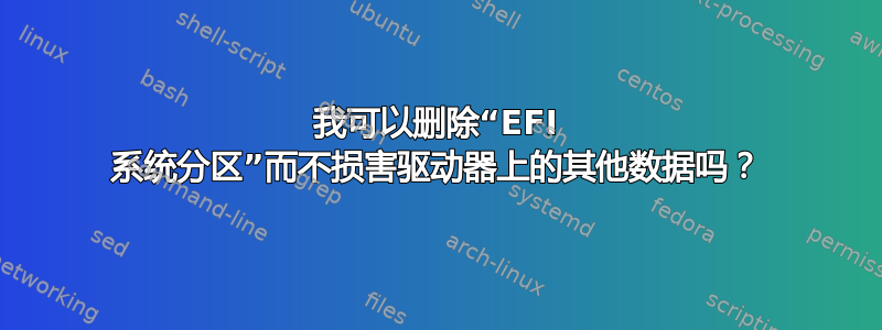 我可以删除“EFI 系统分区”而不损害驱动器上的其他数据吗？