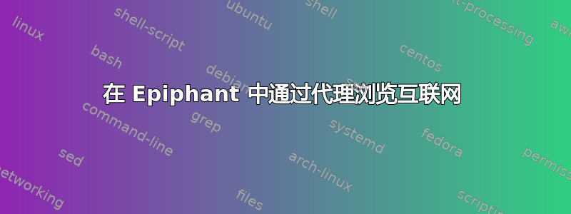 在 Epiphant 中通过代理浏览互联网