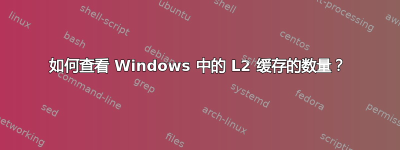 如何查看 Windows 中的 L2 缓存的数量？