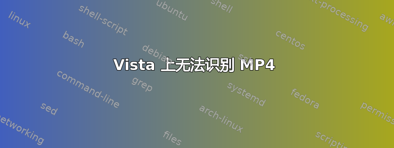 Vista 上无法识别 MP4