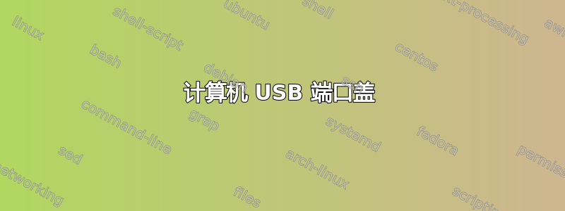 计算机 USB 端口盖