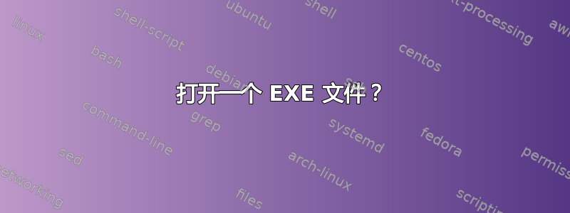 打开一个 EXE 文件？